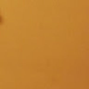 Meet your Posher, Tommie